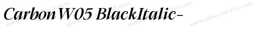 CarbonW05 BlackItalic字体转换